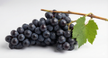 GRAPES BLACK 250 g