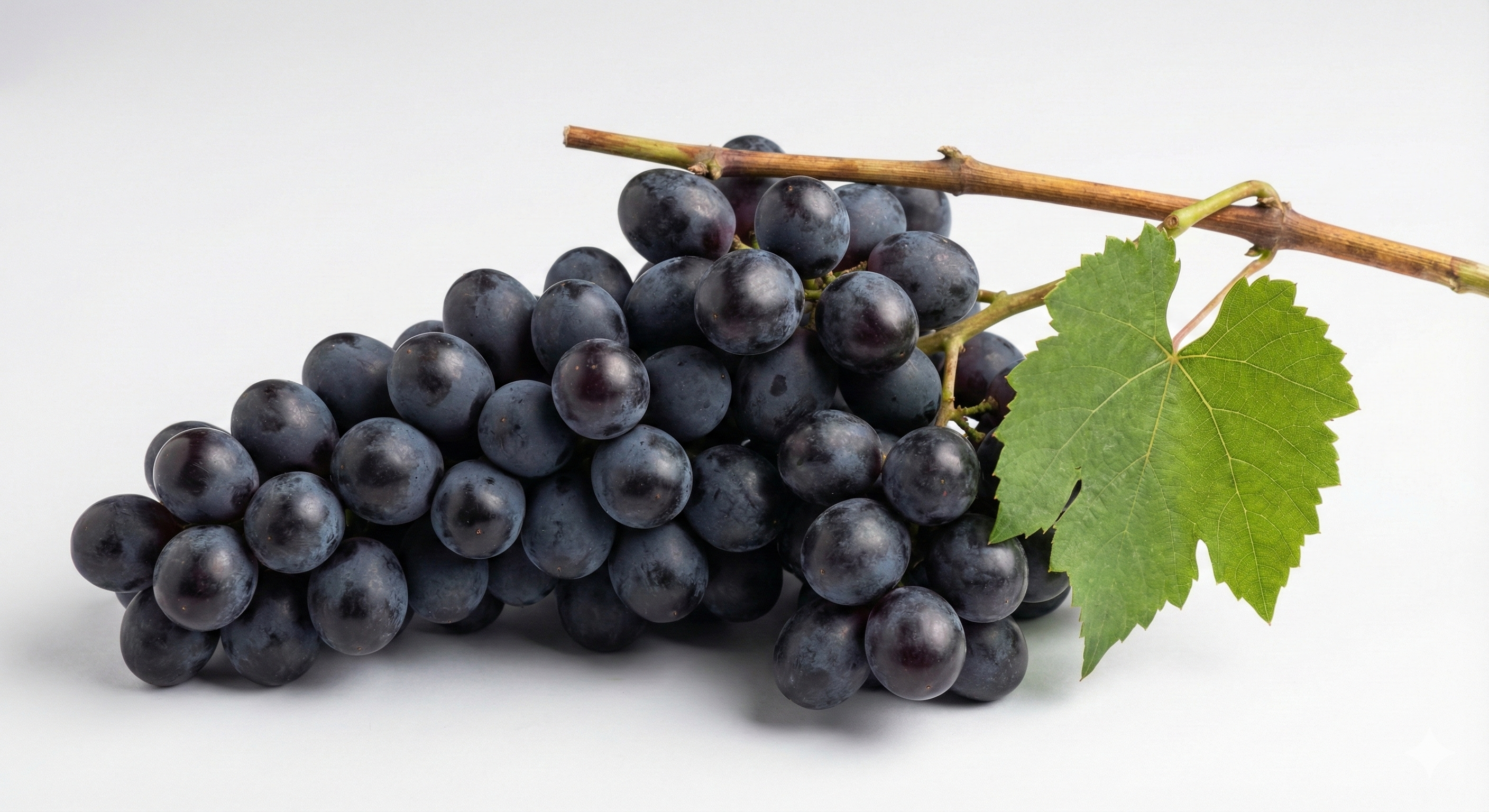 GRAPES BLACK 250 g