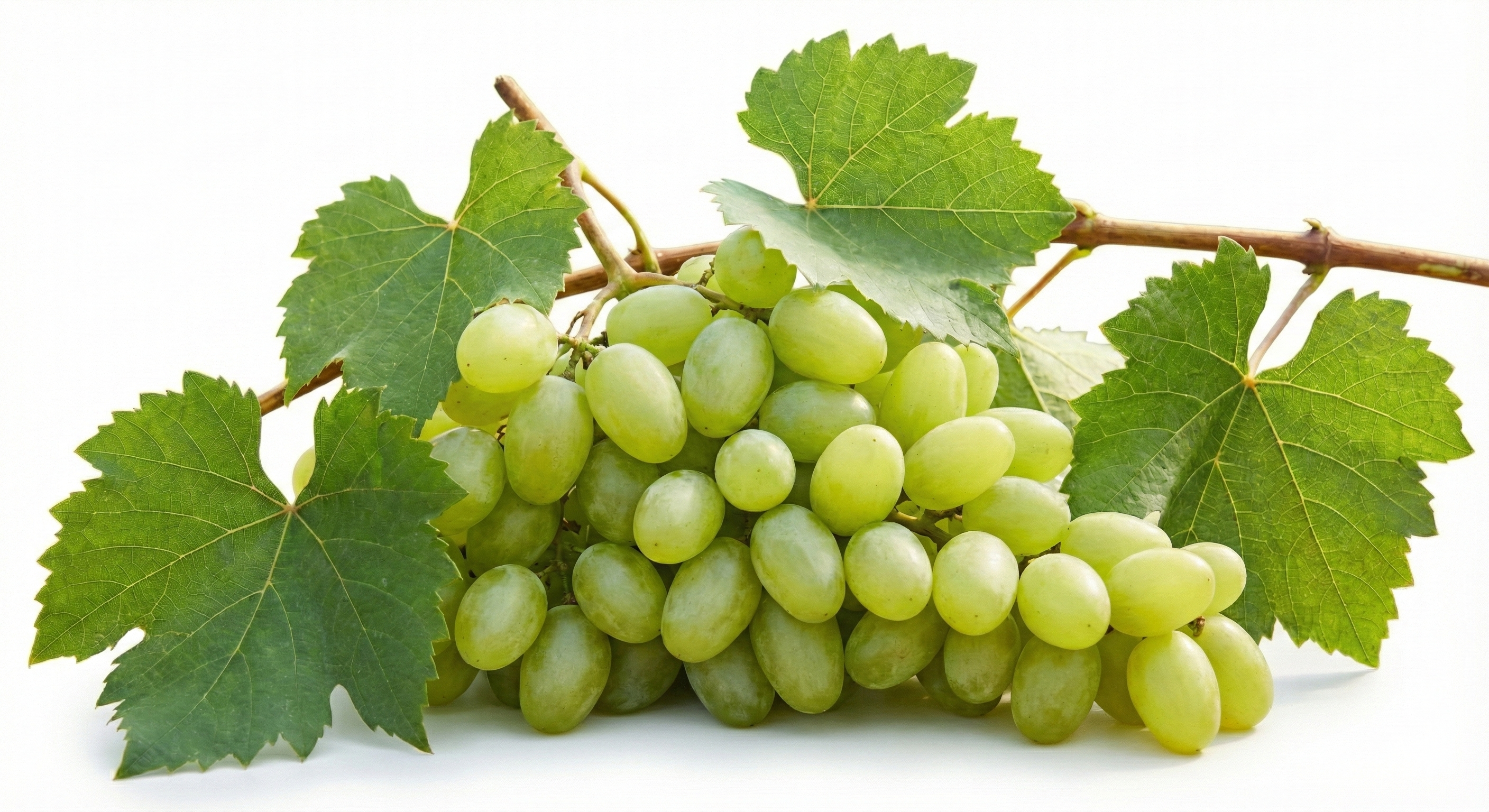 GRAPES GREEN 250 g