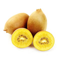 KIWI GOLD (3 Pieces) (IMPORTED)